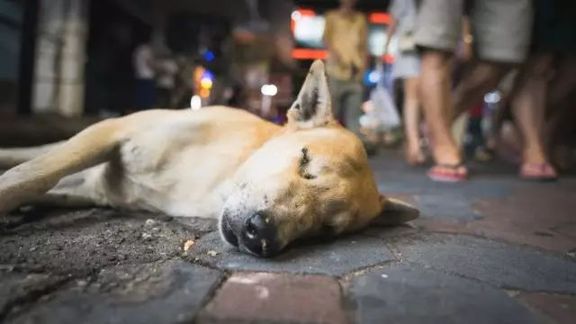 芭堤雅已经重组为一个新的芭堤雅