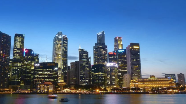 在市场不确定性加剧的情况下，2 月份新建住宅在新加坡的销售中占主导地位